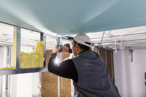 Best Eco-Friendly Insulation in Elkhart, TX